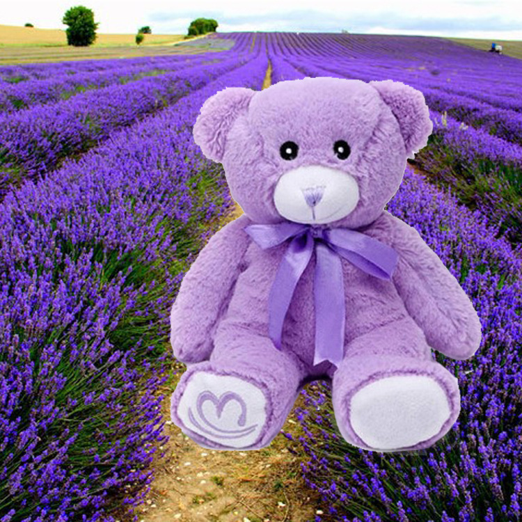 女生最爱 毛绒玩具 公仔娃娃 15厘米 薰衣草小熊 现货批发