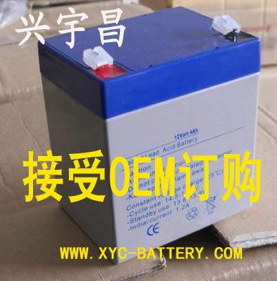 12V4AH 白壳蓝盖