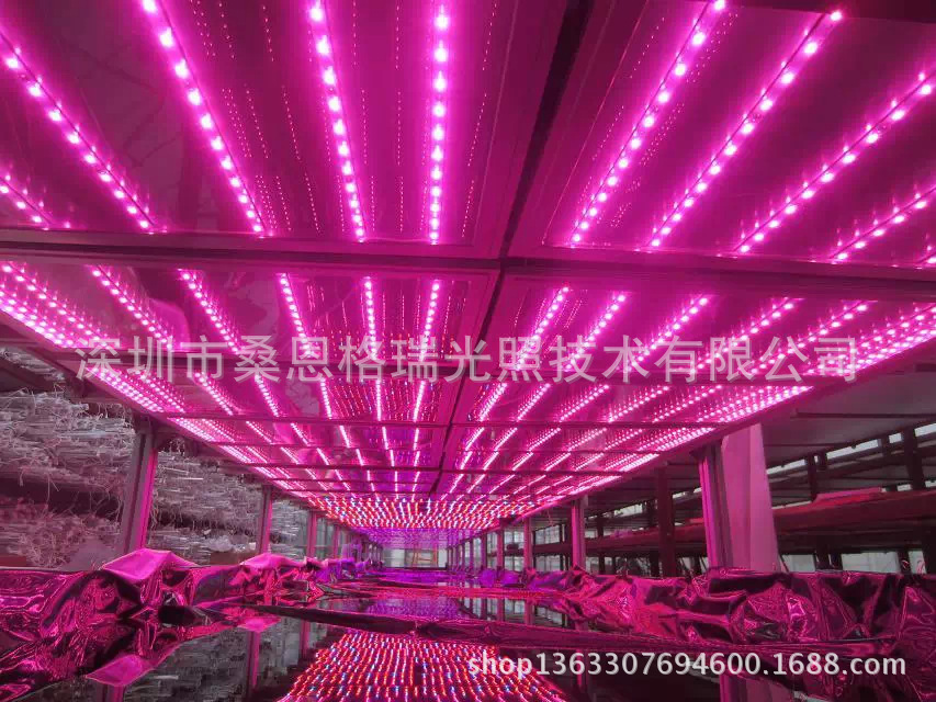 led植物灯的红蓝灯色谱比例一般在5:      :1之间为宜,通常可选7
