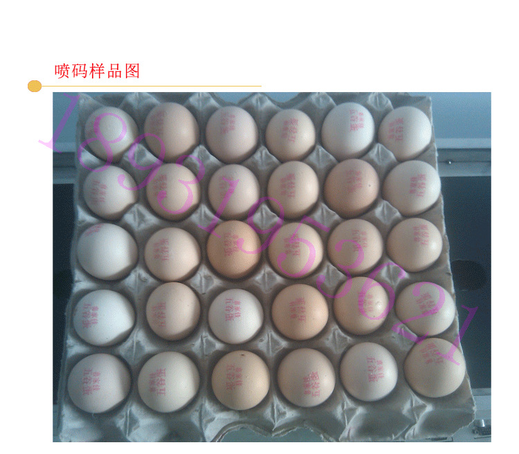 四川/湖北/湖南小型整盘鸡蛋喷码机,大喷码量鸡蛋喷码机生产厂家
