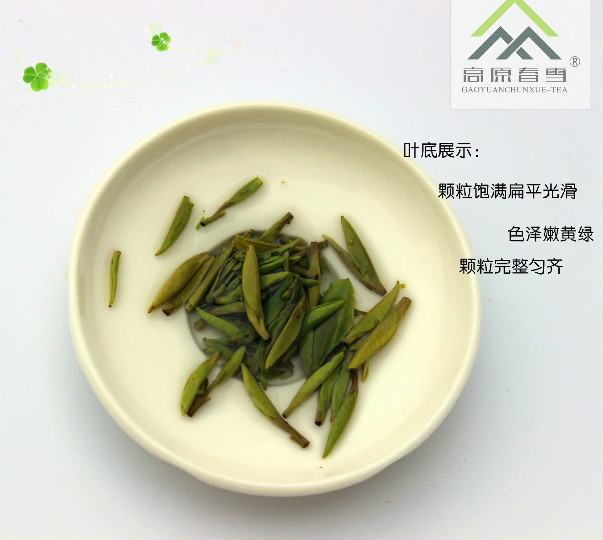 2015年雀舌 湄潭翠芽 贵州金奖绿茶 茶叶 厂家直销 烟条装120g