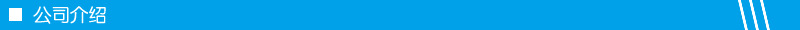 公司介绍