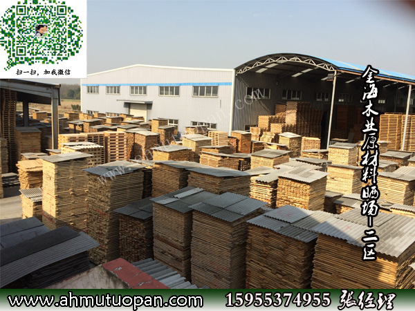 金海木业原材料晒场--二区