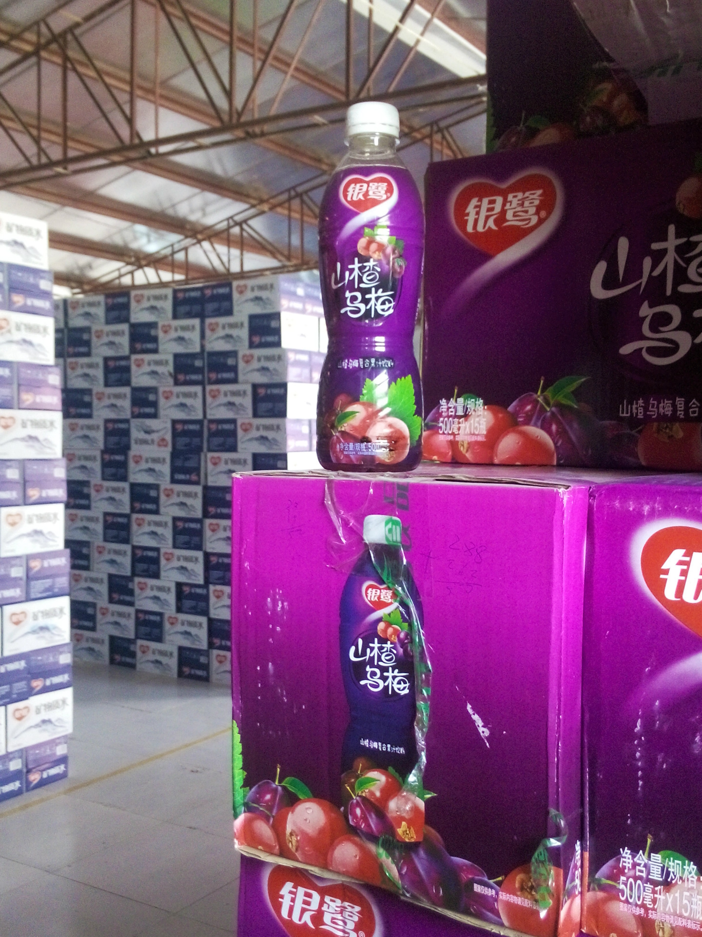 【现货供应】银鹭山楂乌梅饮料 瓶装