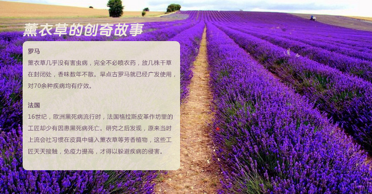 QQ截图20140417170234