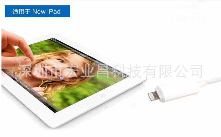 MINIIpad1
