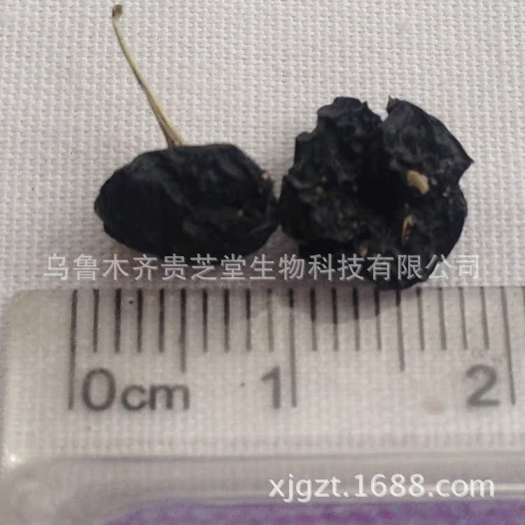 照片 037_副本