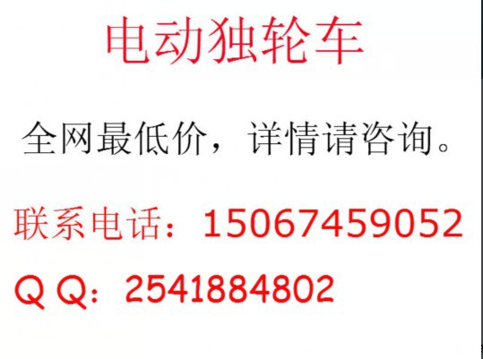 自动平衡电动车价格_最酷的两轮电动车自动避让行人永不撞车电动