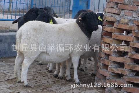 调整大小 P1100075