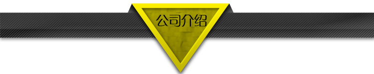 公司介绍