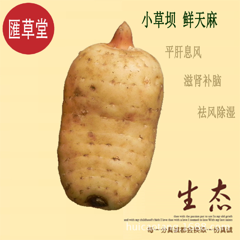 Ӧ ²ƷƷͨСݰ