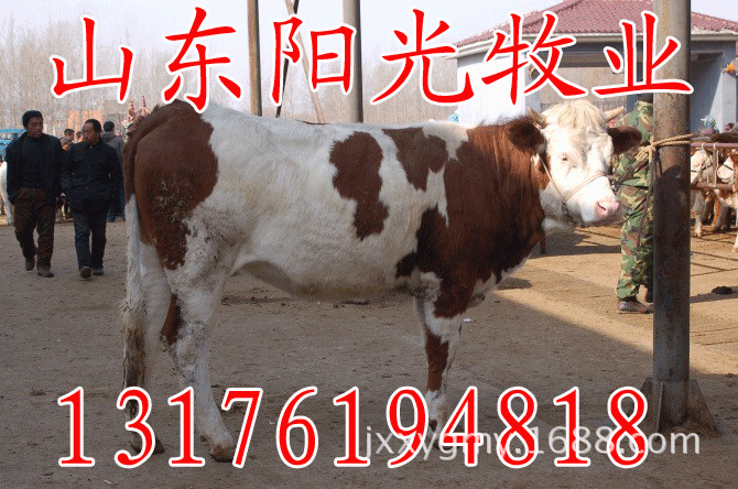 未命名14