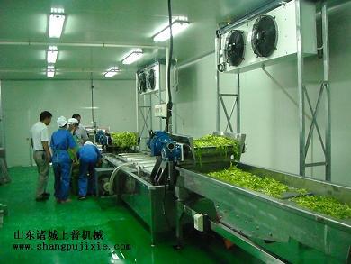 净菜加工4