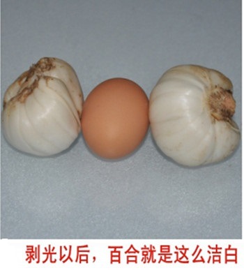 T2ApEPXmhaXXXXXXXX-333441489 (