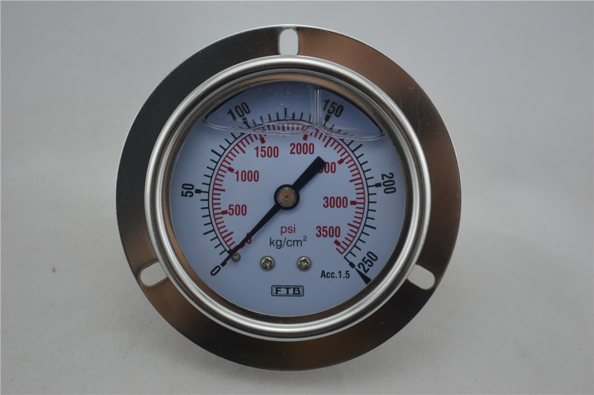 压力表-DT60 压力表0-3500psi 轴向带边压力表