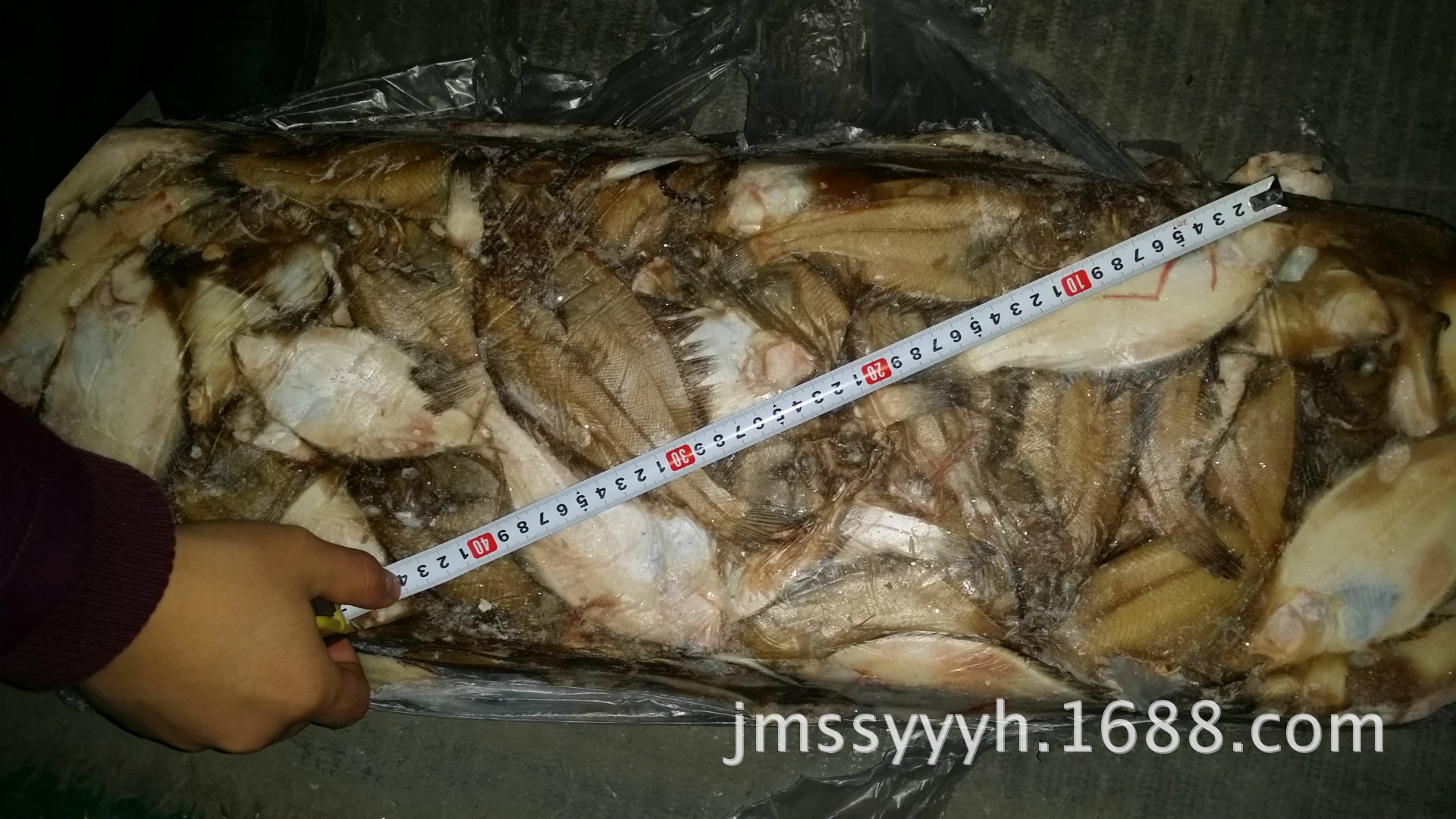 黑龙江佳木斯批发供应小嘴鲽鱼长脖鲽鱼70吨 高眼鲽鱼