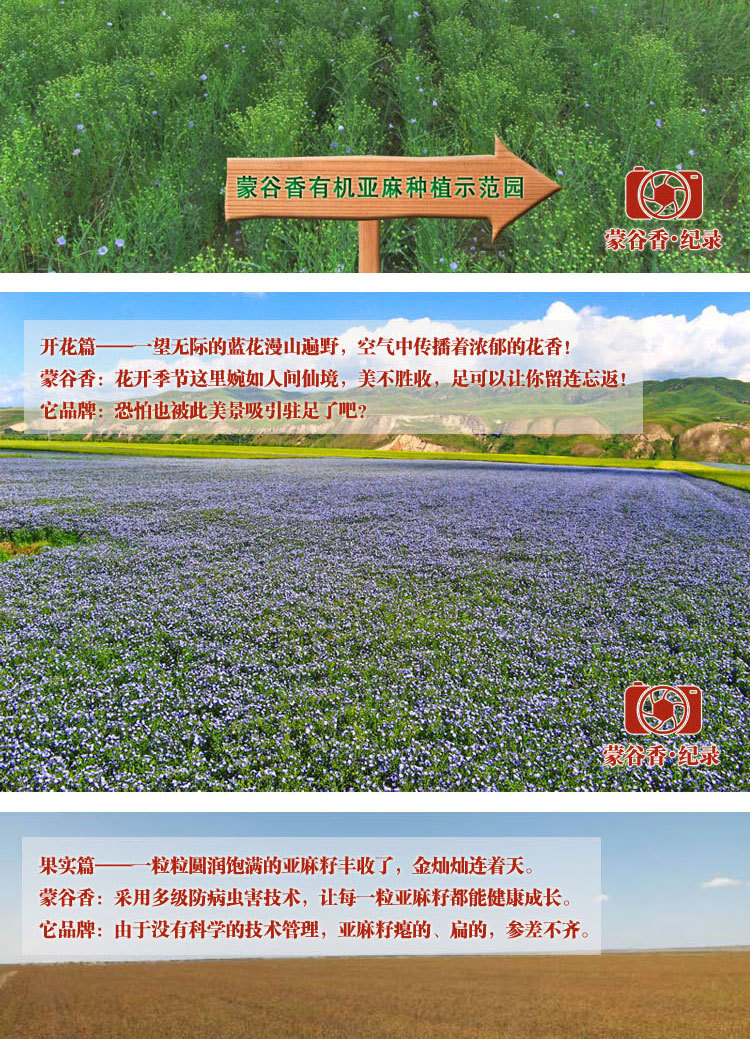 專業(yè)生產(chǎn)供應(yīng)內(nèi)蒙古谷香脫蠟冷榨亞麻籽油 優(yōu)質(zhì)含量高亞麻籽油
