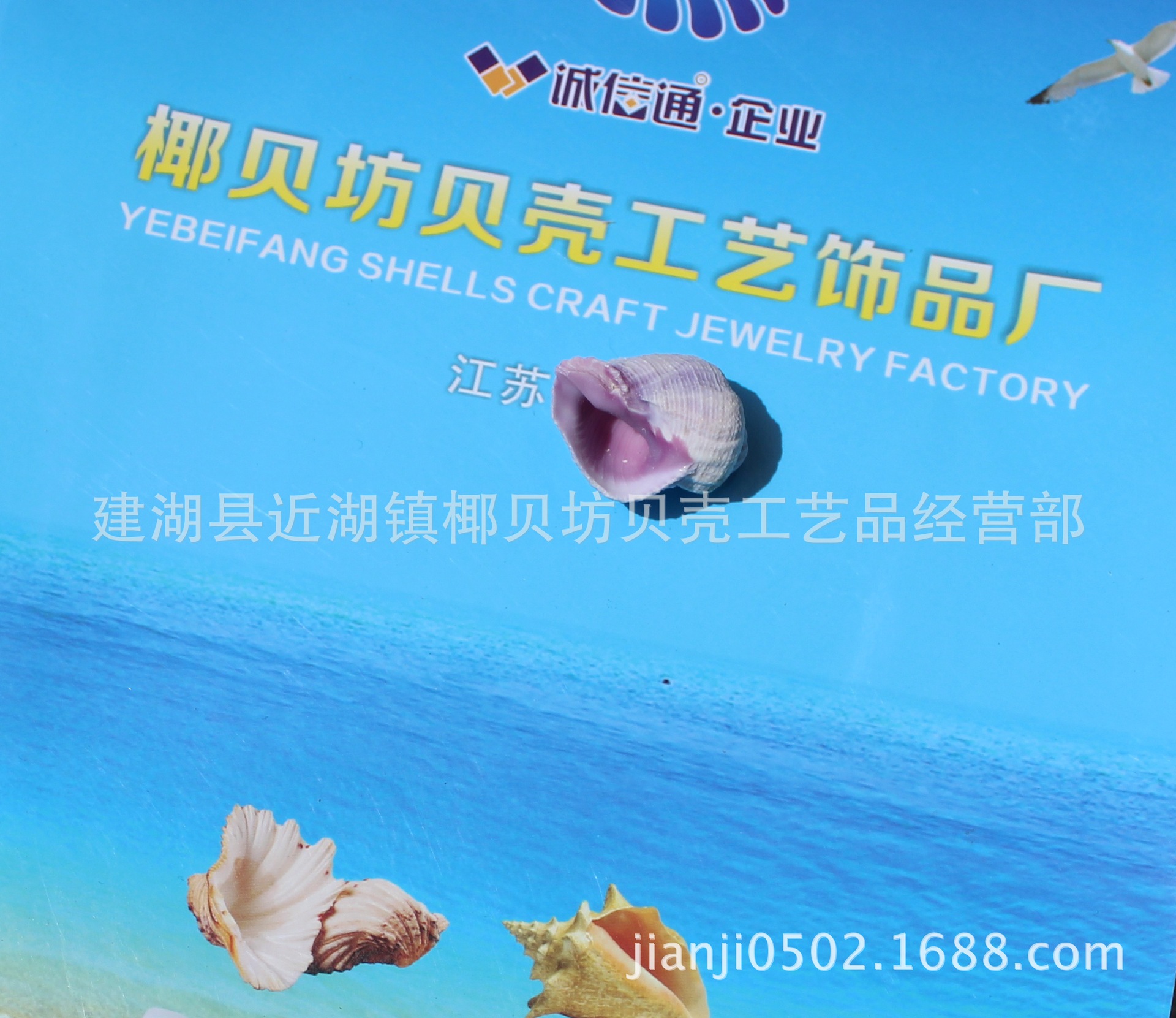 IMG_0787_2345看图王(1)