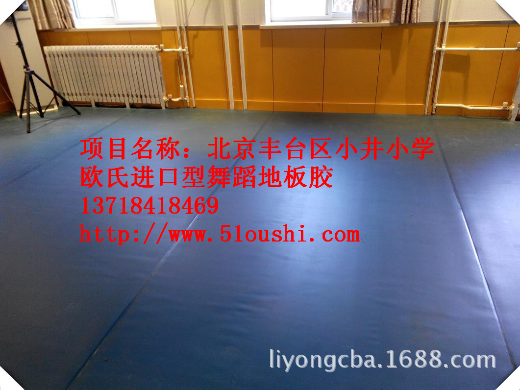 北京丰台小井小学 (1)_副本