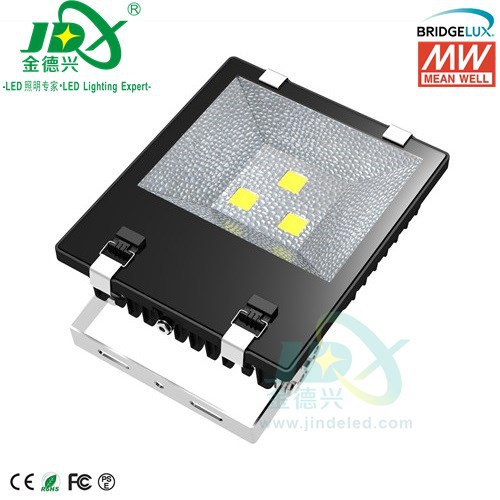 JDFL15003- 150W Bridgelux Mean
