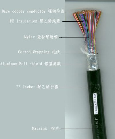 大对数1