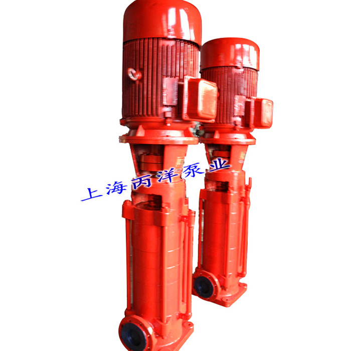 27 DL 多级消防泵 (4)