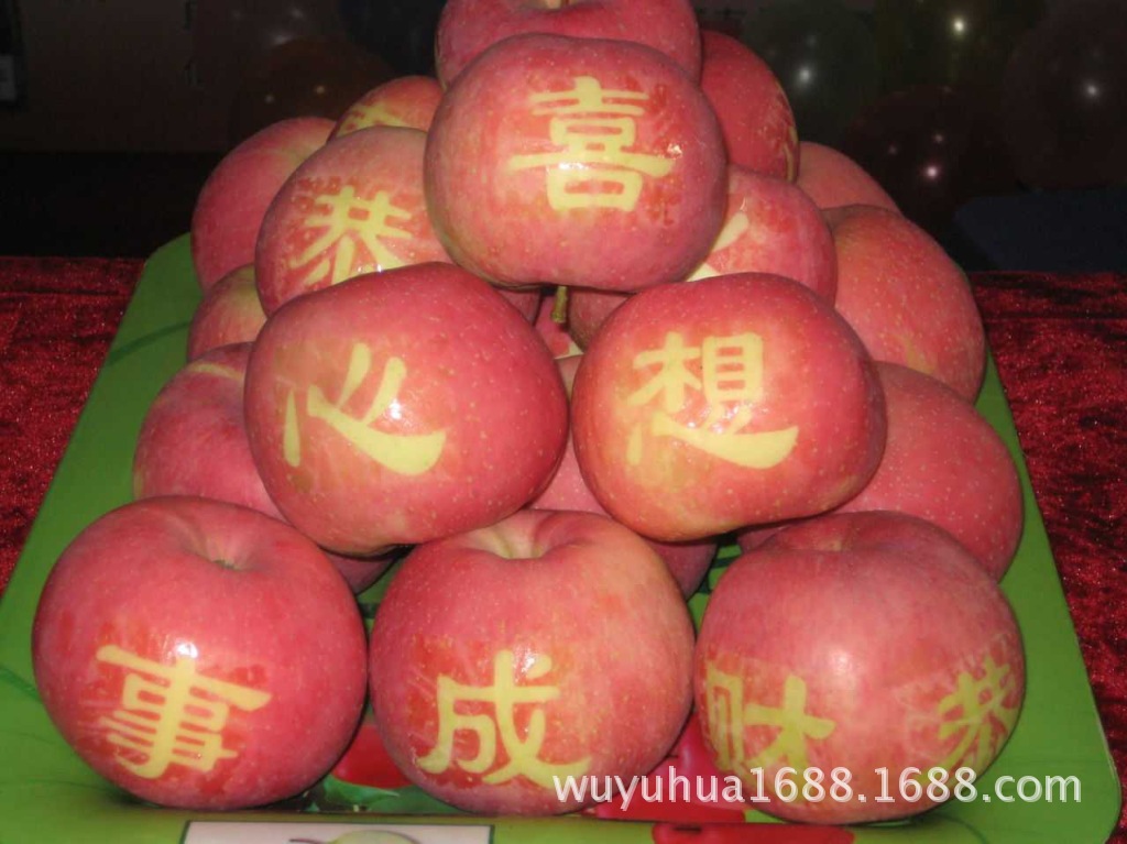 【供应批发优质正宗的昭通苹果 红富士苹果【