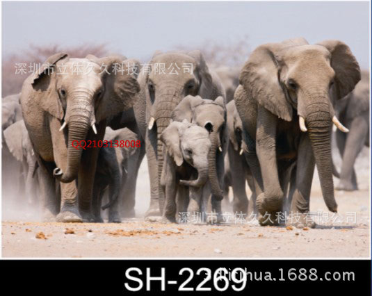 3D立体画厂家批发