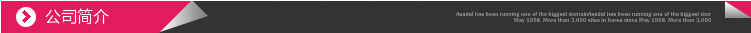 公司简介