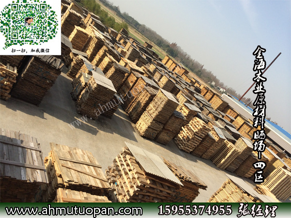 金海木业原材料晒场-四区