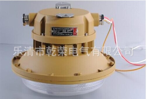 免维护三防吸顶灯1