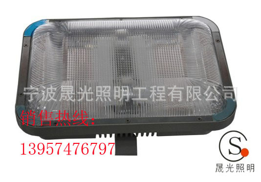 SG-NFC9175长寿顶灯1副本