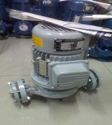 GDR热水管道泵实物图