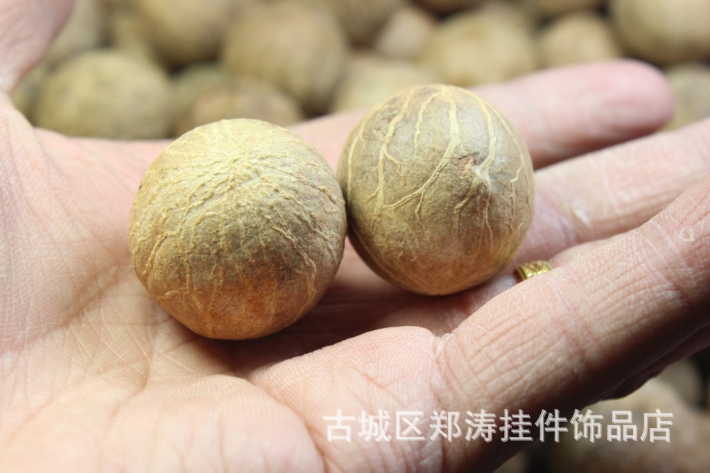 菩提子原料批发 缅甸白菩提根原籽原料批发