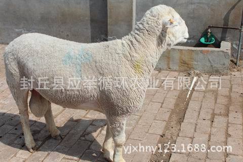 调整大小 IMG_4198