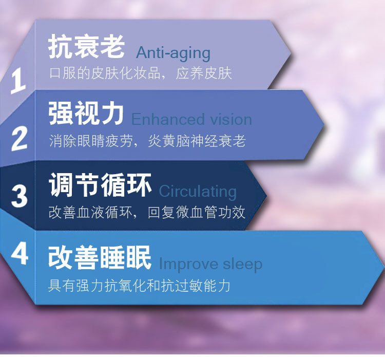 东北特产 森骄蓝莓果干零食 罐装休闲食品 大兴安岭野生蓝莓果干