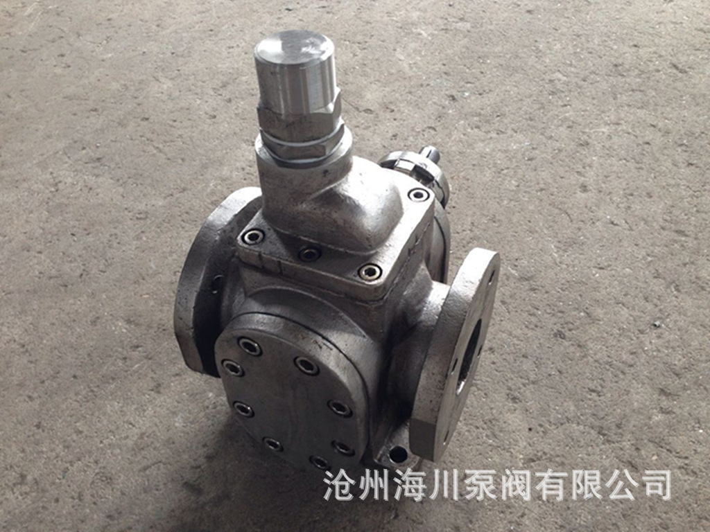 YCB3.3不锈钢泵头_副本