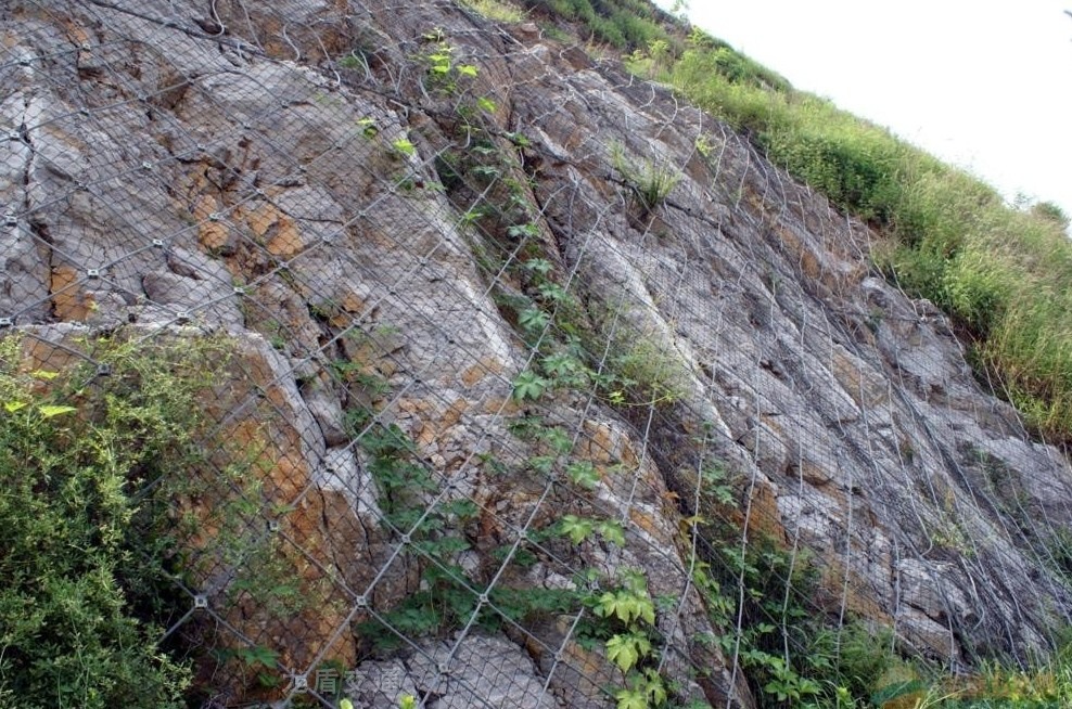 【镀锌钢丝绳网片规格型号 镀锌钢丝绳网片厂