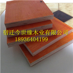 照片 251