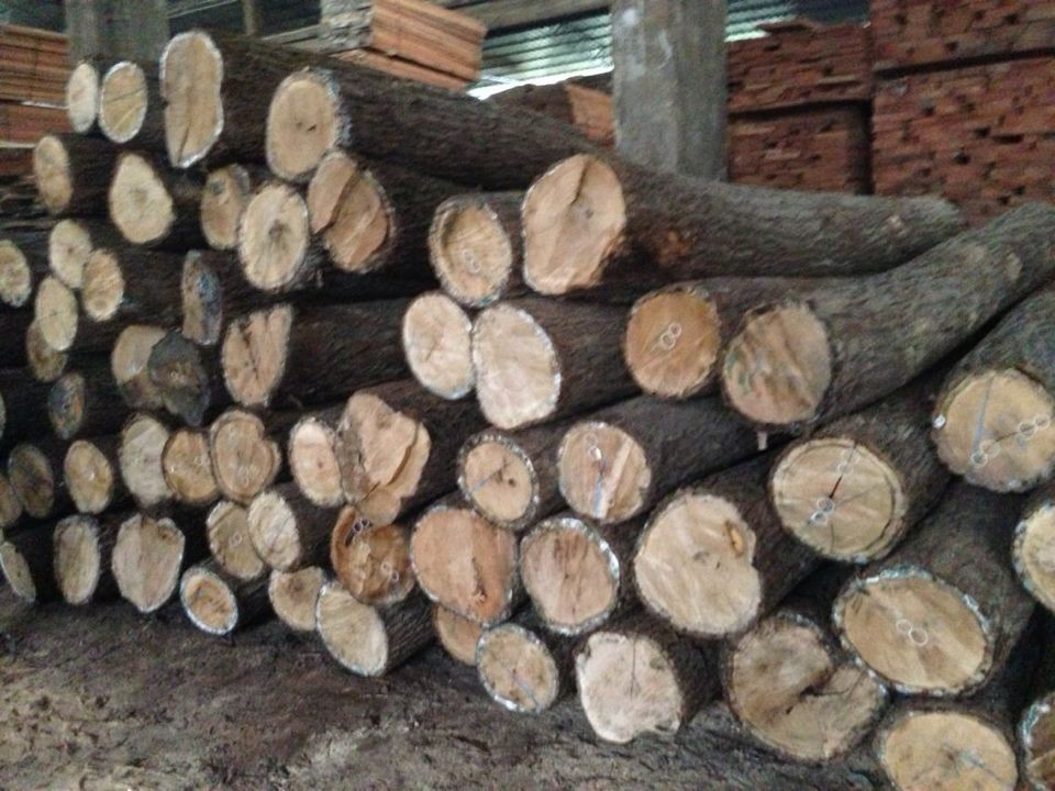 QQ图片20140401141003