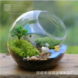 苔藓玻璃鱼缸玻璃花盆 苔藓微景观龙猫多肉花盆景植物盆栽玻璃瓶