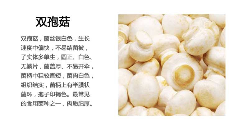 批发白蘑菇 产地供应新鲜双孢菇褐色蘑菇优质双孢菇褐色蘑菇优惠图片