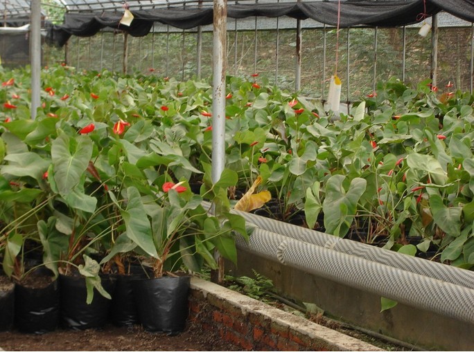 QQ图片20131031084122