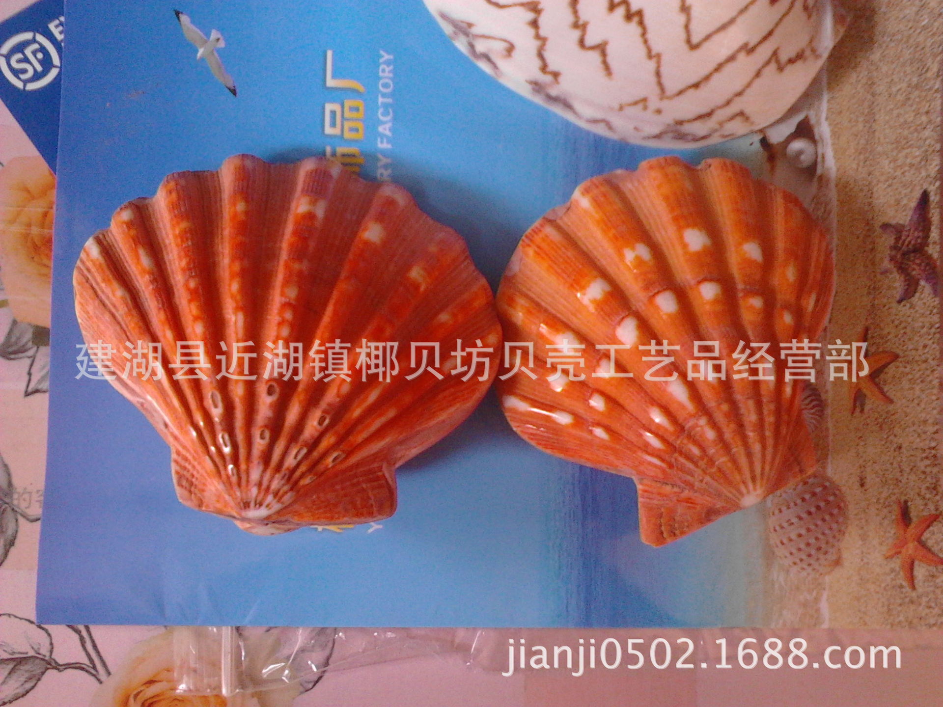 师爪贝 (4)