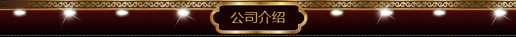 公司介绍