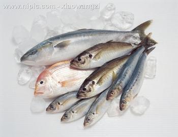 美国冷冻鱼进口海运到上海需要多长时间清关