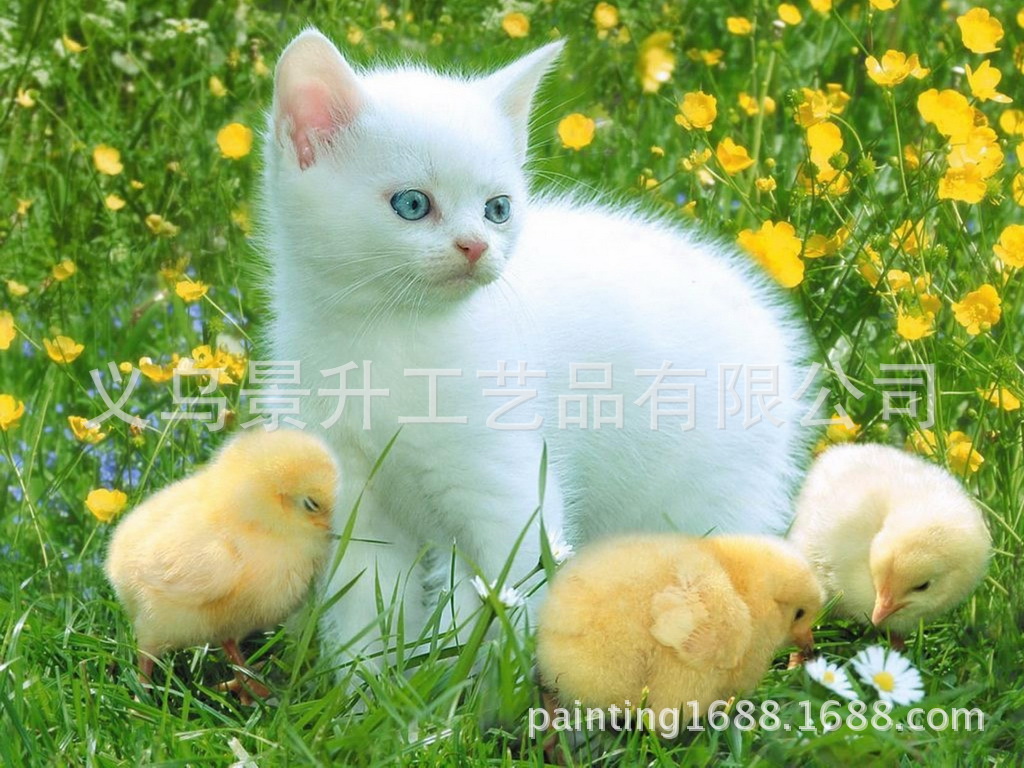 40202_调整大小