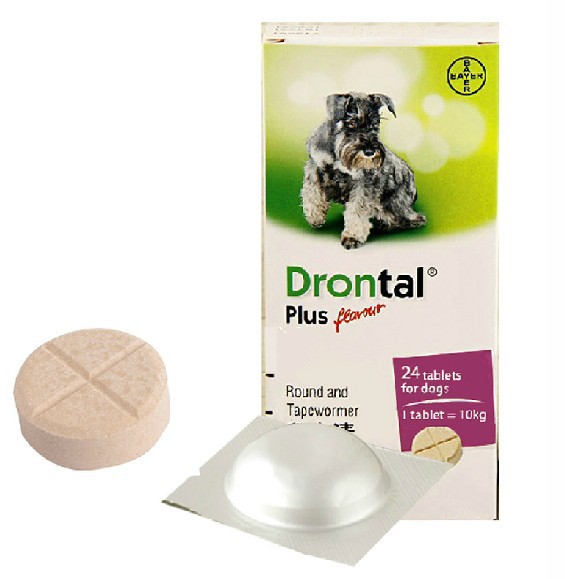 德国拜耳拜宠清批发 狗狗体内驱虫药 专杀弓形虫 单粒出售 8粒\/版 图片_高清大图 - 阿里巴巴