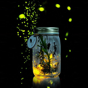 玻璃罐 20年最萌唯美发光萤火虫罐 节创意玩具玻璃罐