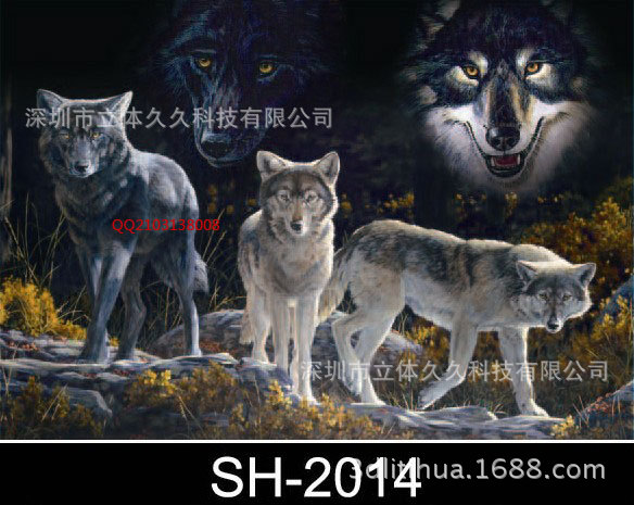 三维立体墙画 sh-2014 动物风景狼3d立体画批发 3d变画厂家定制